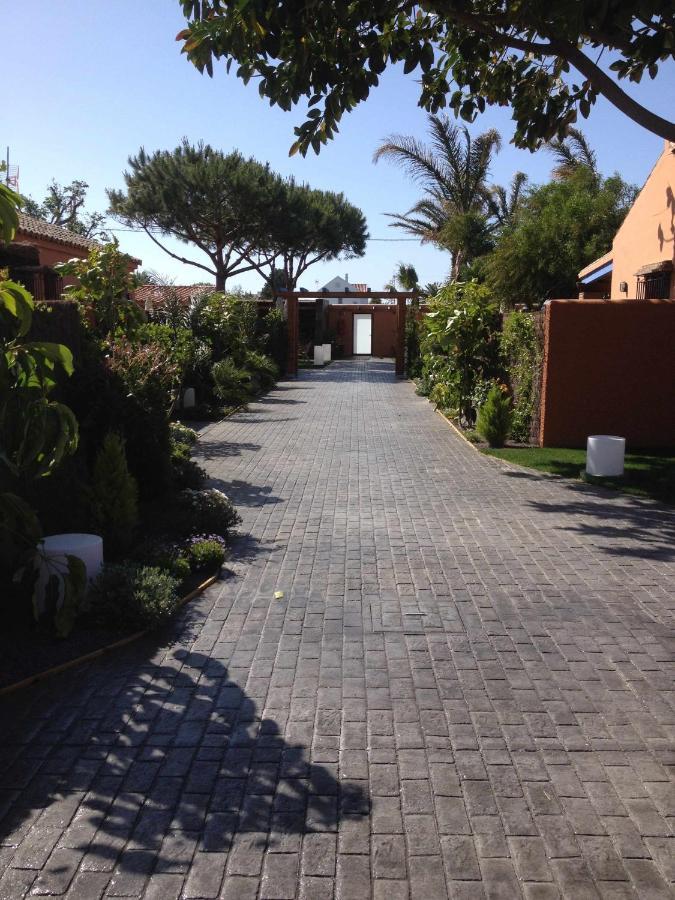 Estudio Con Jardincito Privado Barbacoa Y Piscina Cadix Extérieur photo